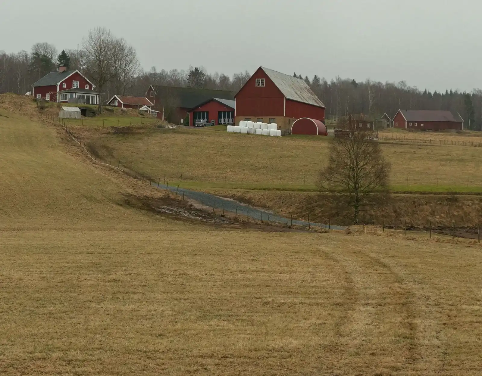 Small-town farmhouse