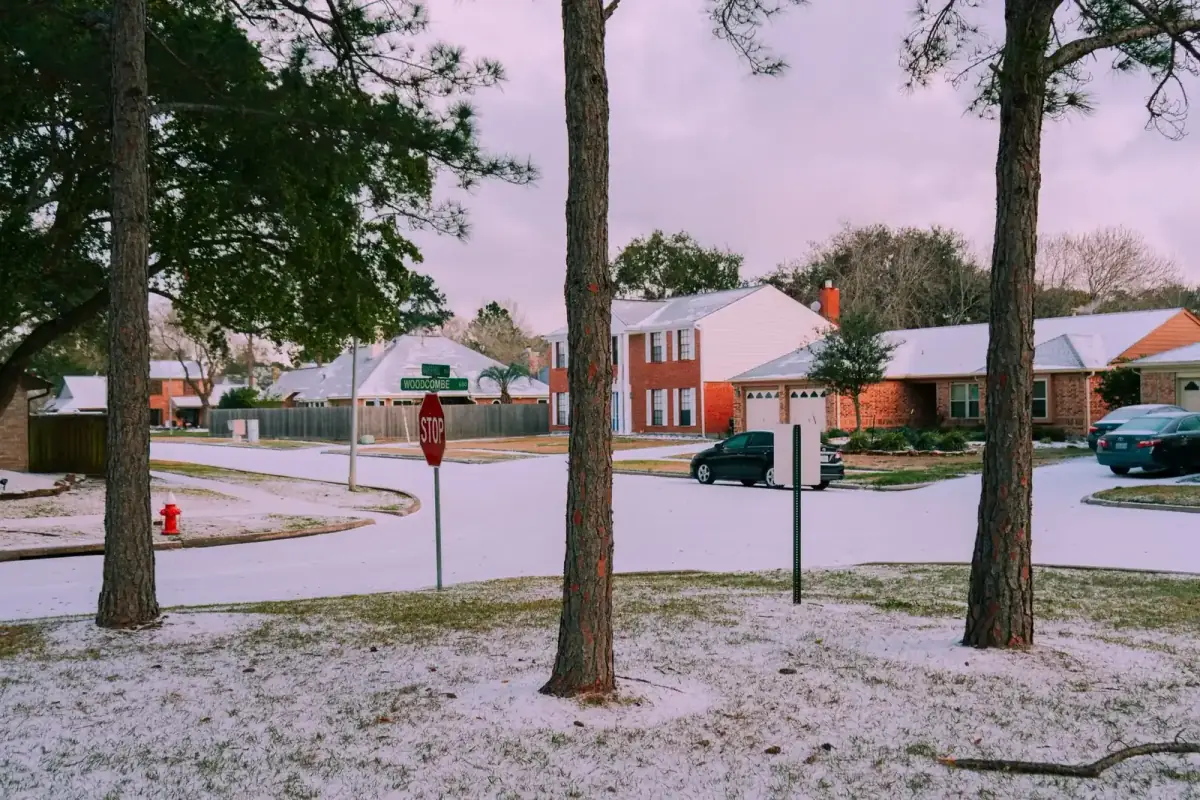 Tree-lined suburban street with cape houses