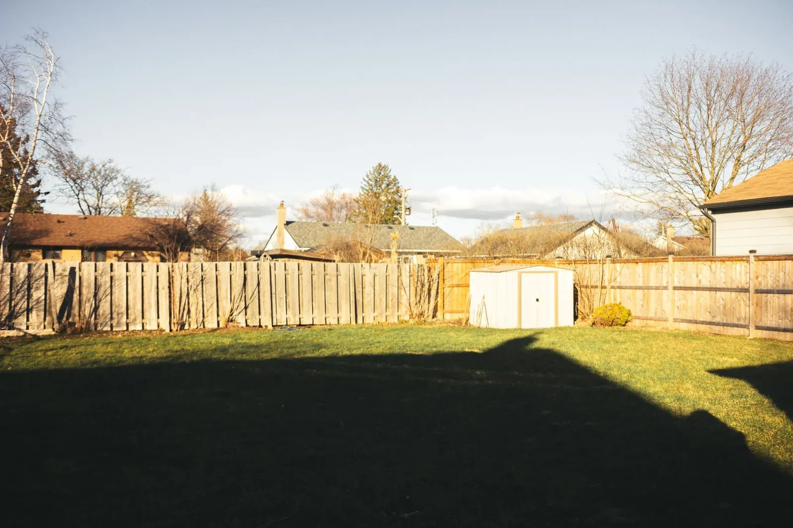 Wooden privacy fence in a backyard