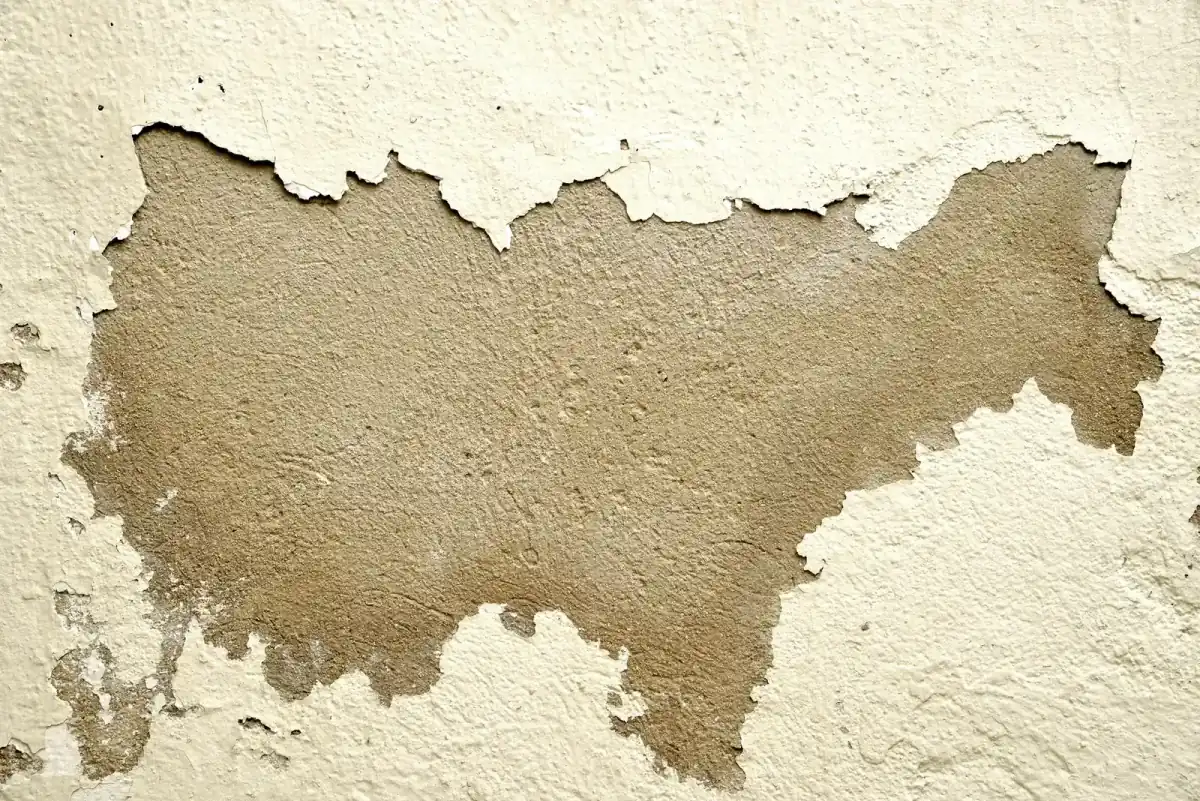 Interior plaster wall with a repair patch