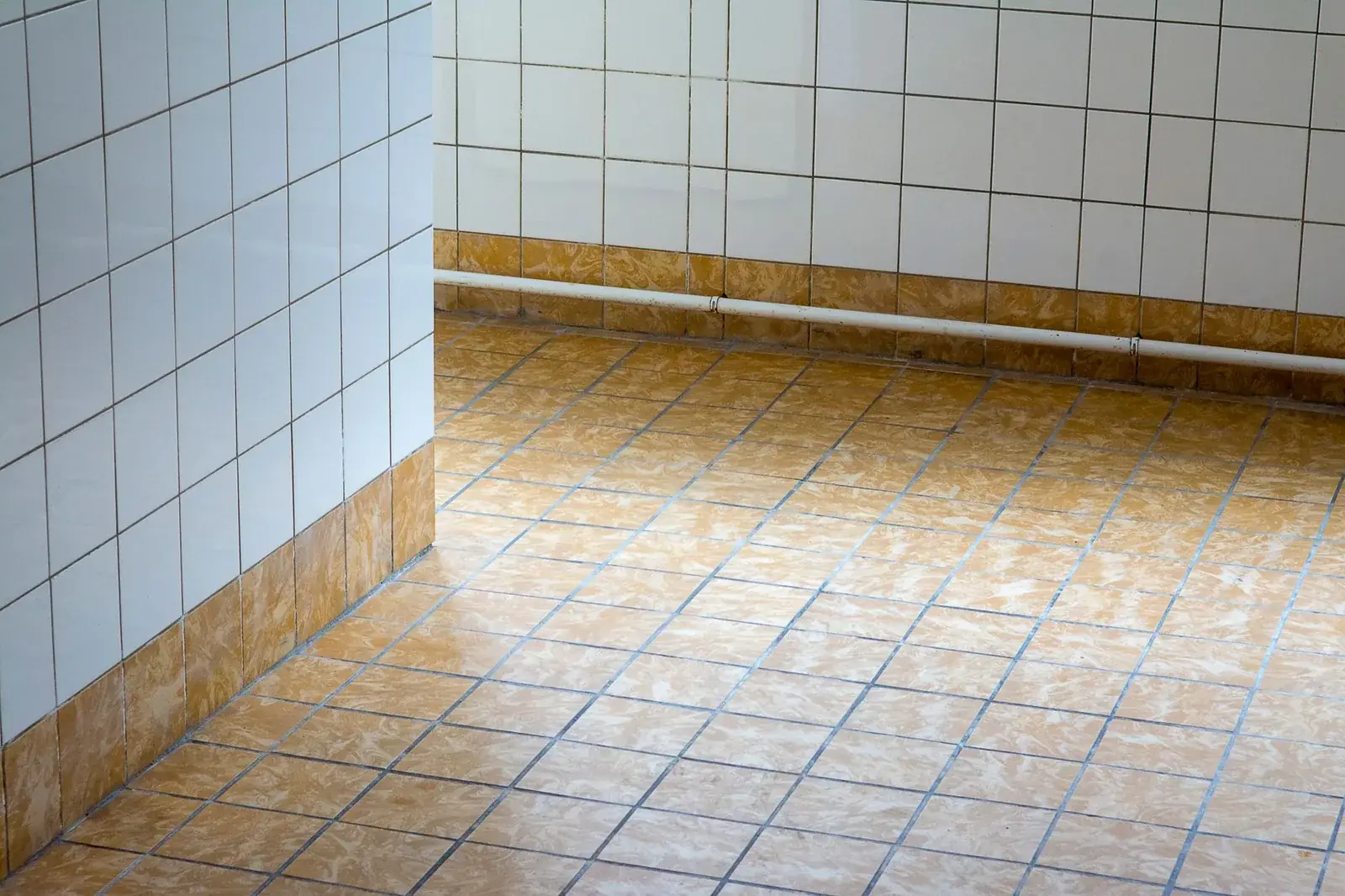 Bathroom floor tile and grout lines